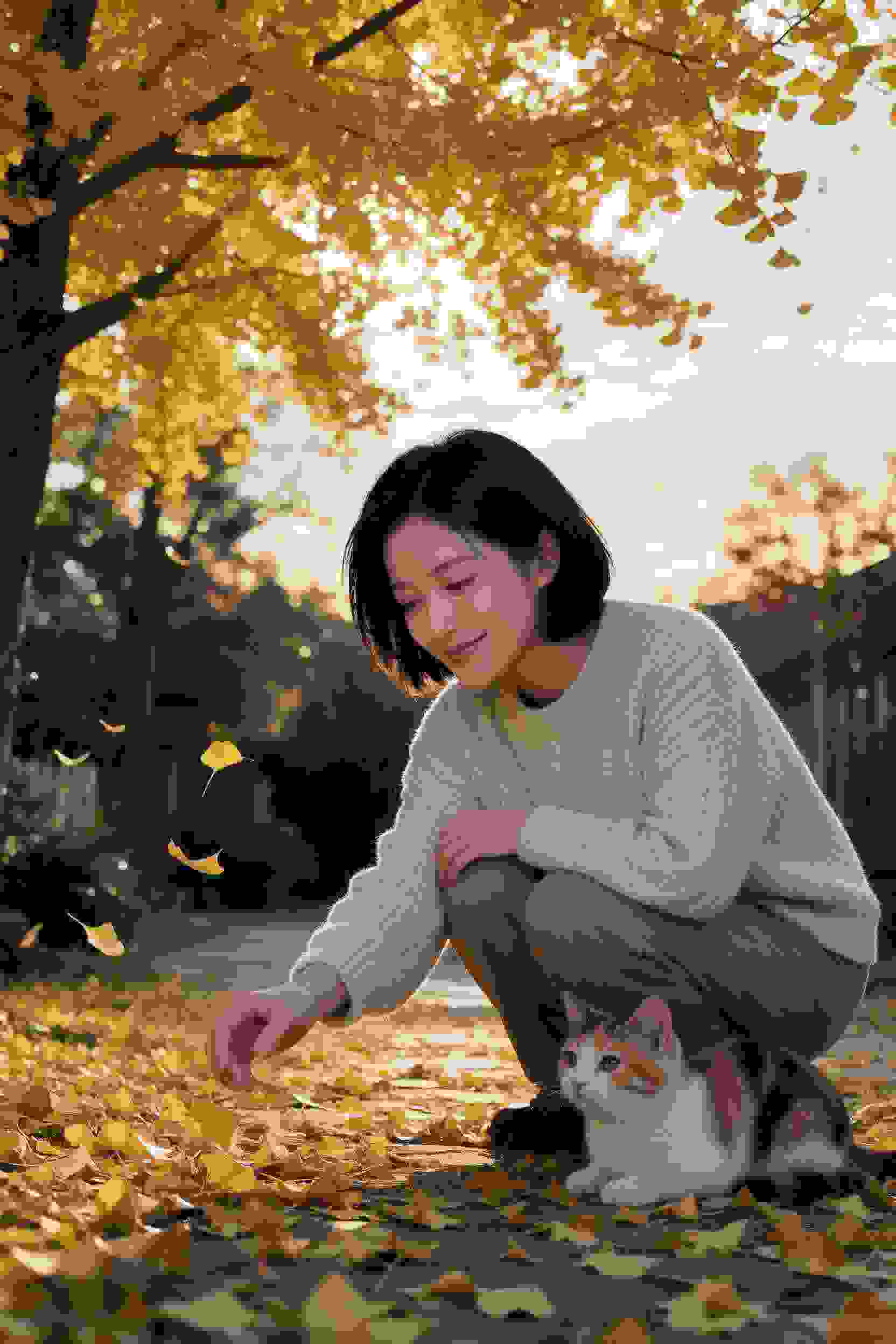 动漫5